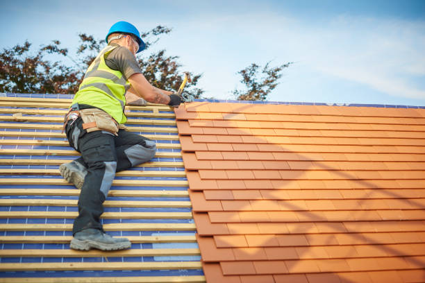 Best Chimney Flashing Repair  in Kaloko, HI